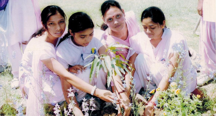 Tree Planting